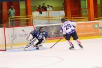 IMG_4064_1.jpg