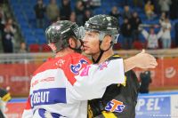KH Energa Toruń - GKS Katowice