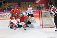 KH Energa Toruń - Zagłębie Sosnowiec