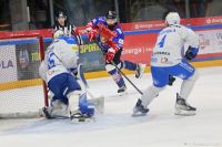 KH Energa Toruń - Re-Plast Unia Oświęcim