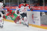 KH Energa Toruń - Zagłębie Sosnowiec