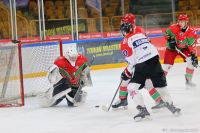 KH Energa Toruń - Zagłębie Sosnowiec