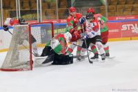 KH Energa Toruń - Zagłębie Sosnowiec
