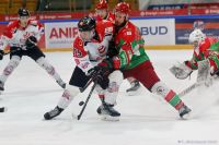 KH Energa Toruń - Zagłębie Sosnowiec