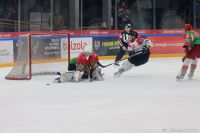 KH Energa Toruń - Zagłębie Sosnowiec