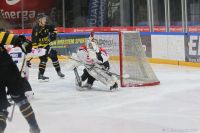 KH Energa Toruń - GKS Katowice