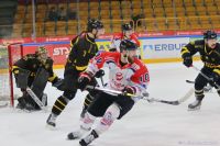 KH Energa Toruń - GKS Katowice
