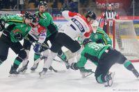 Play-Off KH Energa Toruń - JKH GKS Jastrzębie