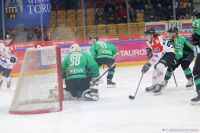 Play-Off KH Energa Toruń - JKH GKS Jastrzębie
