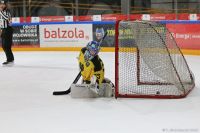 Sponsors Cup 2024