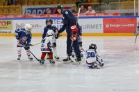 KH Energa Toruń - Comarch Cracovia