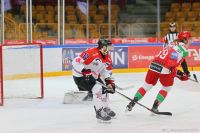 KH Energa Toruń - EC Będzin Zagłębie Sosnowiec
