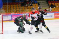 KH Energa Toruń - GKS Tychy