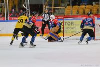 KH Energa Toruń - GKS Katowice