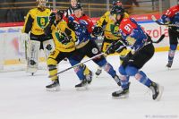 KH Energa Toruń - GKS Katowice