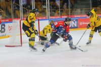 KH Energa Toruń - GKS Katowice