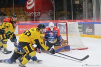 KH Energa Toruń - GKS Katowice