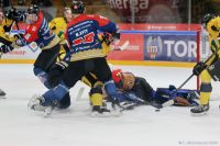 KH Energa Toruń - GKS Katowice
