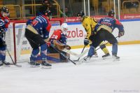 KH Energa Toruń - GKS Katowice