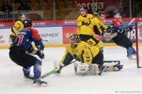 KH Energa Toruń - GKS Katowice