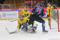 KH Energa Toruń - GKS Katowice