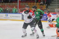 KH Energa Toruń - JKH GKS Jastrzębie