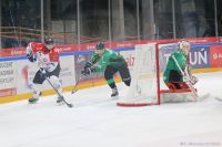 KH Energa Toruń - JKH GKS Jastrzębie