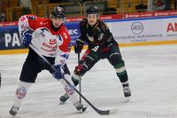 KH Energa Toruń - GKS Tychy