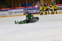 Sponsors Cup 2025