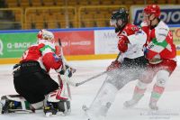 KH Energa Toruń - ECB Zagłębie Sosnowiec (sparing)