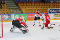 KH Energa Toruń - ECB Zagłębie Sosnowiec (sparing)