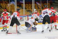 KH Energa Toruń - ECB Zagłębie Sosnowiec (sparing)