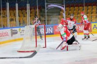 KH Energa Toruń - ECB Zagłębie Sosnowiec (sparing)