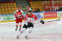 KH Energa Toruń - ECB Zagłębie Sosnowiec (sparing)