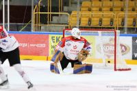 KH Energa Toruń - ECB Zagłębie Sosnowiec (sparing)