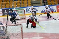 KH Energa - Comarch Cracovia