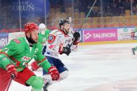 KH Energa Toruń - ECB Zagłębie Sosnowiec