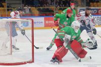 KH Energa Toruń - ECB Zagłębie Sosnowiec