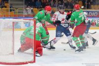 KH Energa Toruń - ECB Zagłębie Sosnowiec