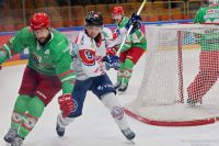 KH Energa Toruń - ECB Zagłębie Sosnowiec