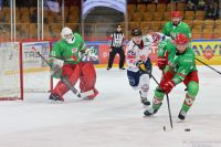 KH Energa Toruń - ECB Zagłębie Sosnowiec