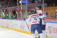 KH Energa Toruń - ECB Zagłębie Sosnowiec