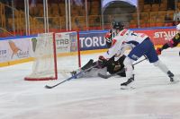 KH Energa Toruń - BS Polonia Bytom