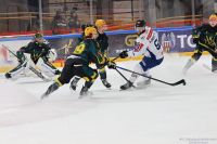 KH Energa Toruń - GKS Katowice