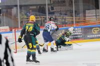 KH Energa Toruń - GKS Katowice