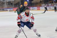 KH Energa Toruń - GKS Katowice