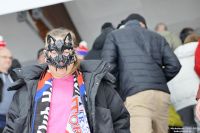 KH Energa Toruń - KS Unia Oświęcim