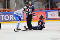 KH Energa Toruń - KS Unia Oświęcim