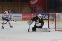 KH Energa Toruń - BS Polonia Bytom