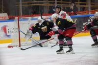 KH Energa Toruń - BS Polonia Bytom